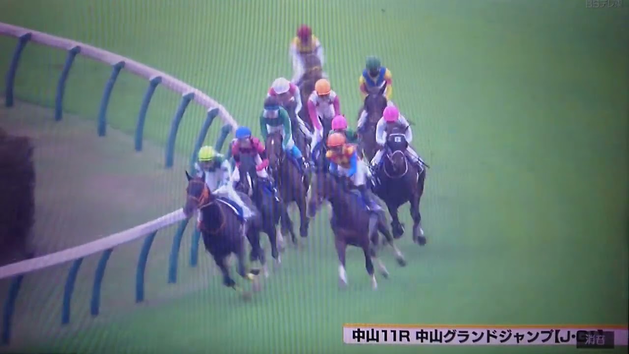 20230415 第25回中山グランドジャンプ(J・G1)【8年ぶり、オジュウチョウサンの姿なき中山GJ】