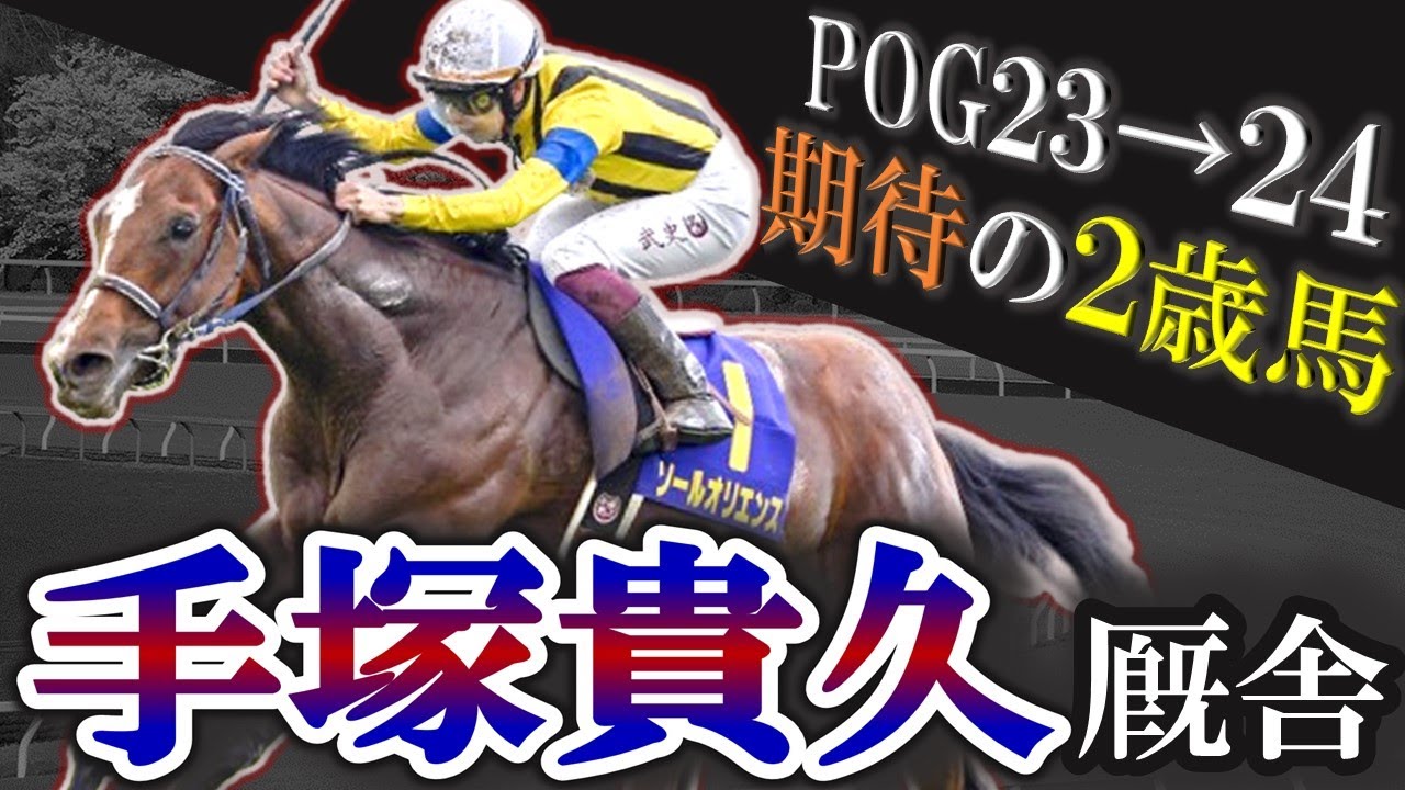 【祝皐月賞制覇】クラシック全制覇へ！手塚貴久厩舎 期待の2歳馬を10頭紹介します！【2歳馬】【pog23-24】