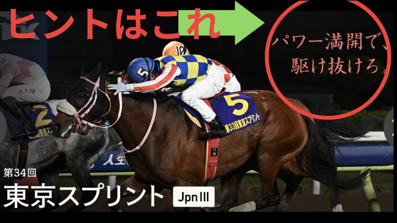 東京スプリント競走2023のサイン競馬予想。今回は本命１頭で良いかもね。