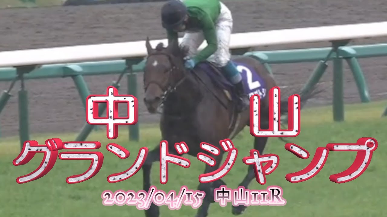 2023/04/15【パドック返し馬つき】中山11R　中山グランドジャンプ　ＪＧⅠ　　☆イロゴトシ　ヴァンセンヌ　＃レースは14分ころから