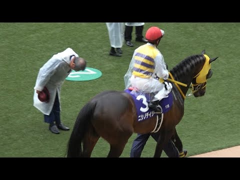 【2023 中山グランドジャンプ】西山オーナー ニシノデイジーと石神騎手に深々とお辞儀をして送り出す パドック