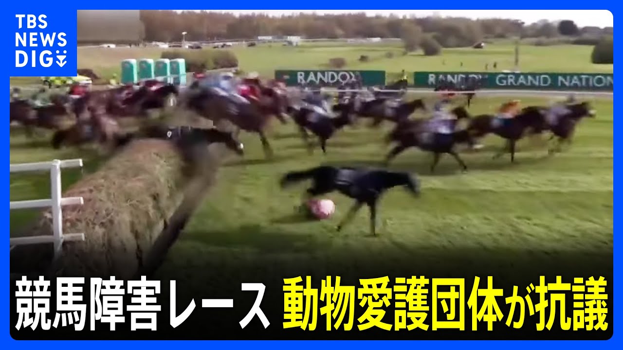 「あなたが賭ける。馬は死ぬ」“世界一危険”競馬障害レース　動物愛護団体が抗議　開始遅れる｜TBS NEWS DIG