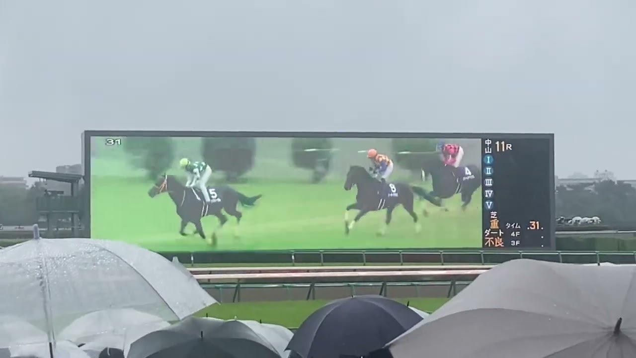 2023/04/15 G1 中山グランドジャンプ　イロゴトシ　黒岩悠　現地
