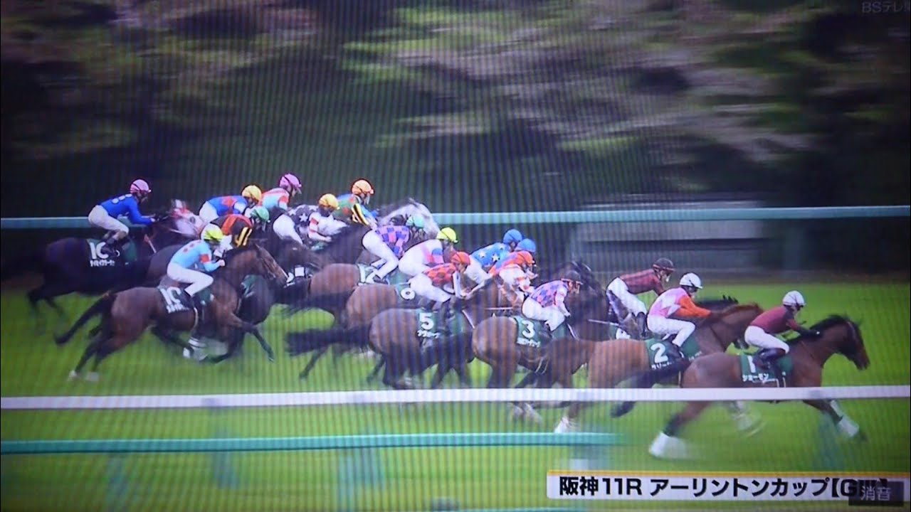 20230415 第32回アーリントンカップ(G3)【NHKマイルカップトライアル】
