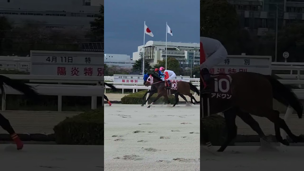【ダービー馬主】無職の地方競馬【そして伝説へ】2023/04/06_2