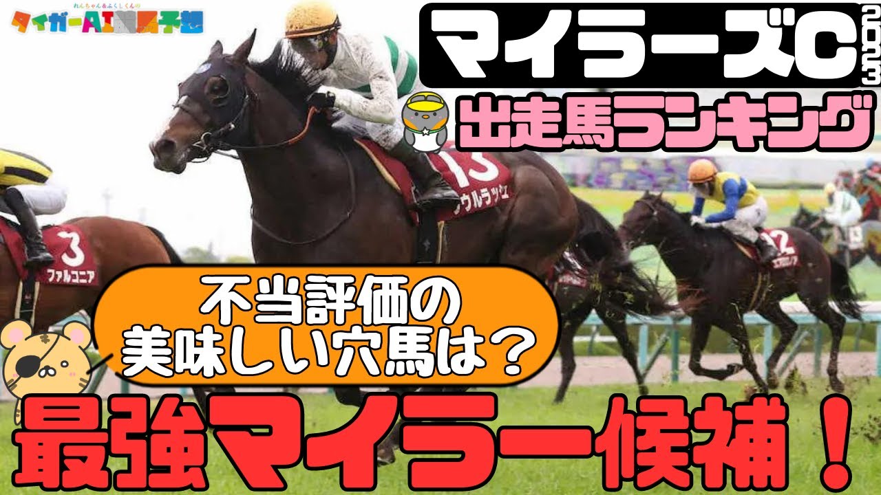 【出走馬レビュー】マイラーズC2023攻略ポイントまとめ①【タイガーAI競馬予想】