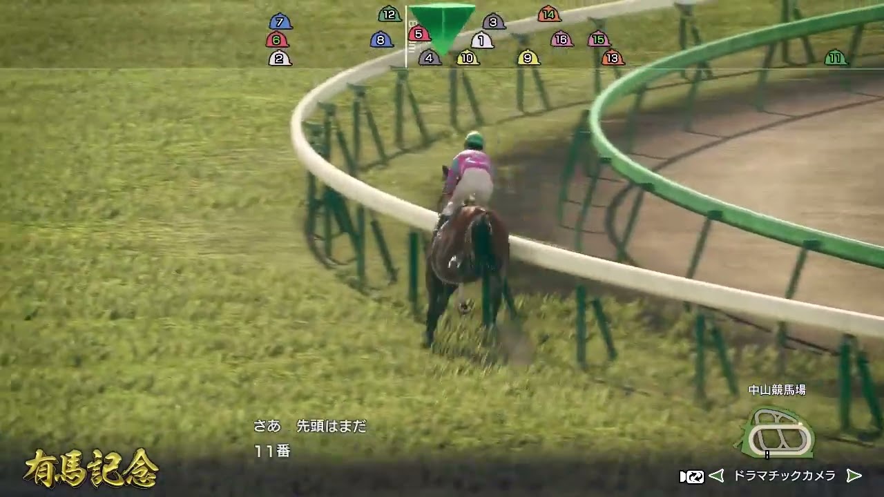 【WP10】1984年有馬記念 カツラギエース