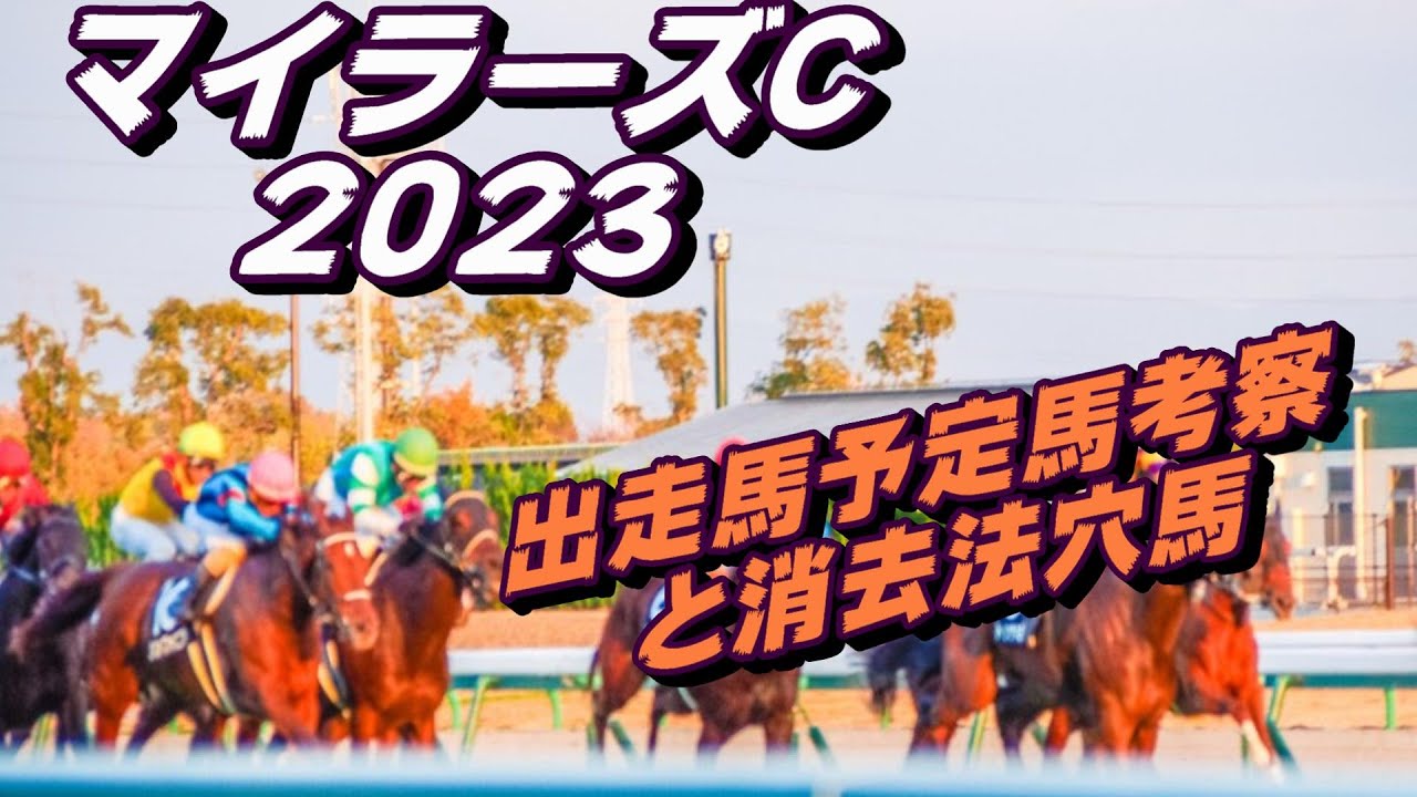 【マイラーズカップ2023】出走馬予定馬データ分析と消去法予想