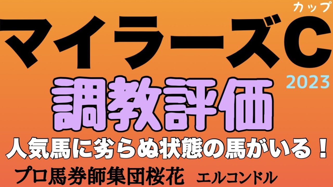 プロ馬券師集団桜花エルコンドル氏のマイラーズカップ2023調教評価！！新設の京都競馬場最初の重賞で注目集まる！人気を分けそうなシュネルマイスターにジャスティンスカイにソウルラッシュ各馬の出来は？！