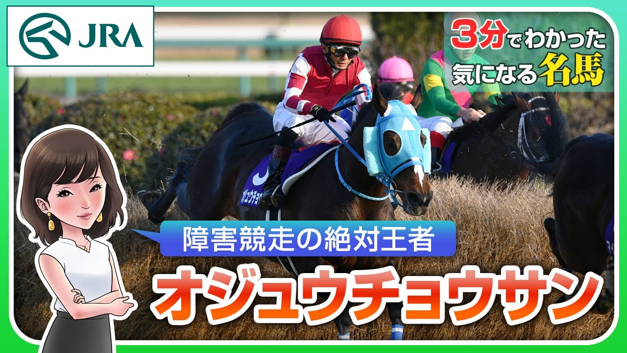 【3分でわかる】オジュウチョウサン・障害競走の絶対王者 | JRA公式