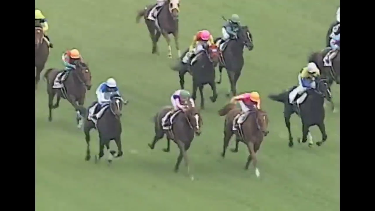 ナリタトップロード 1999年 第66回東京優駿(日本ダービー)(GI) (優勝馬：アドマイヤベガ) (実況：ラジオたんぱ)