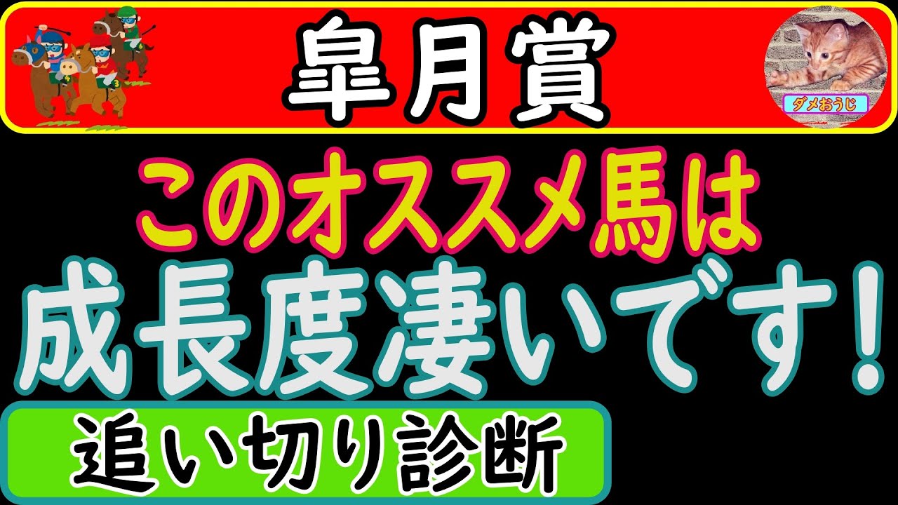 皐月賞2023年の追い切り診断！予想オッズ上位馬の調教を診断しました