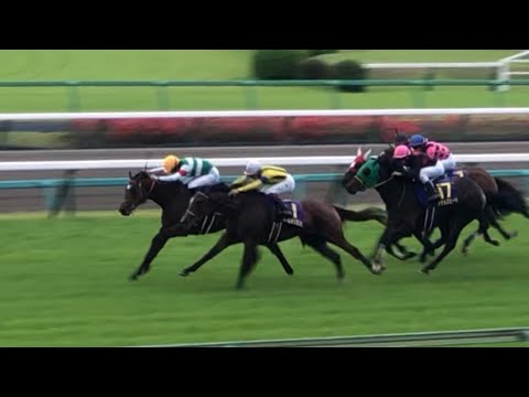 【現地】ソールオリエンス 横山武史 2023 皐月賞