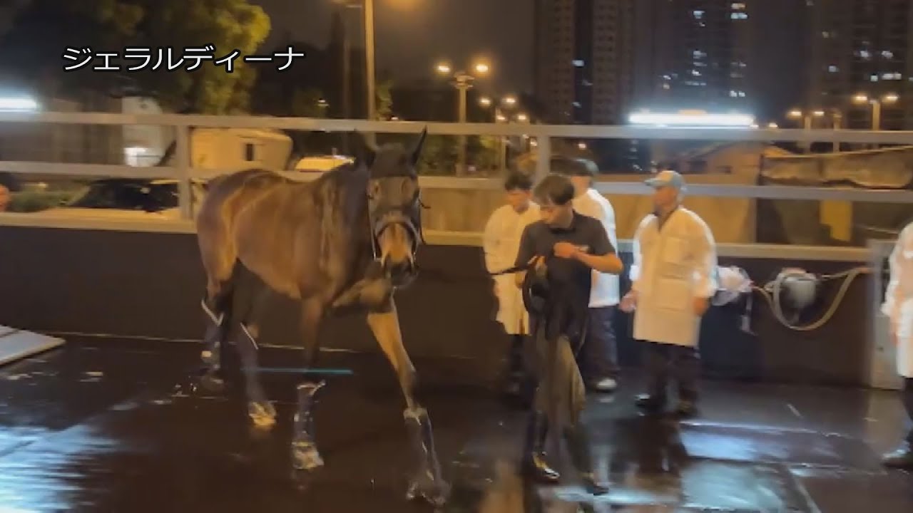 【2023香港チャンピオンズデー】ジェラルディーナなど日本馬4頭が香港に到着 | JRA公式