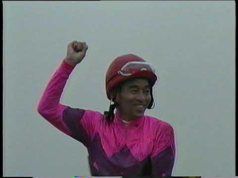 菊花賞 1994 11 06 ナリタブライアン その2 レース