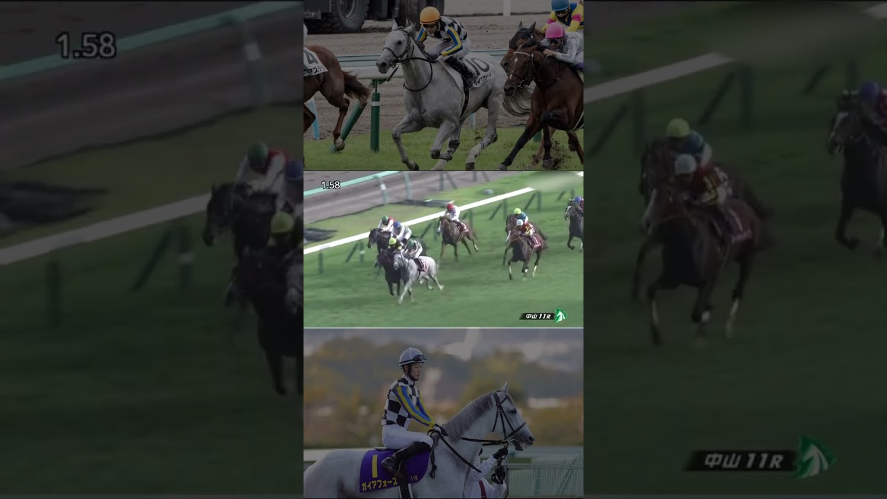 菊花賞1番人気、ガイアフォースマイル戦線に殴り込み、マイラーズカップ好走なるか！？