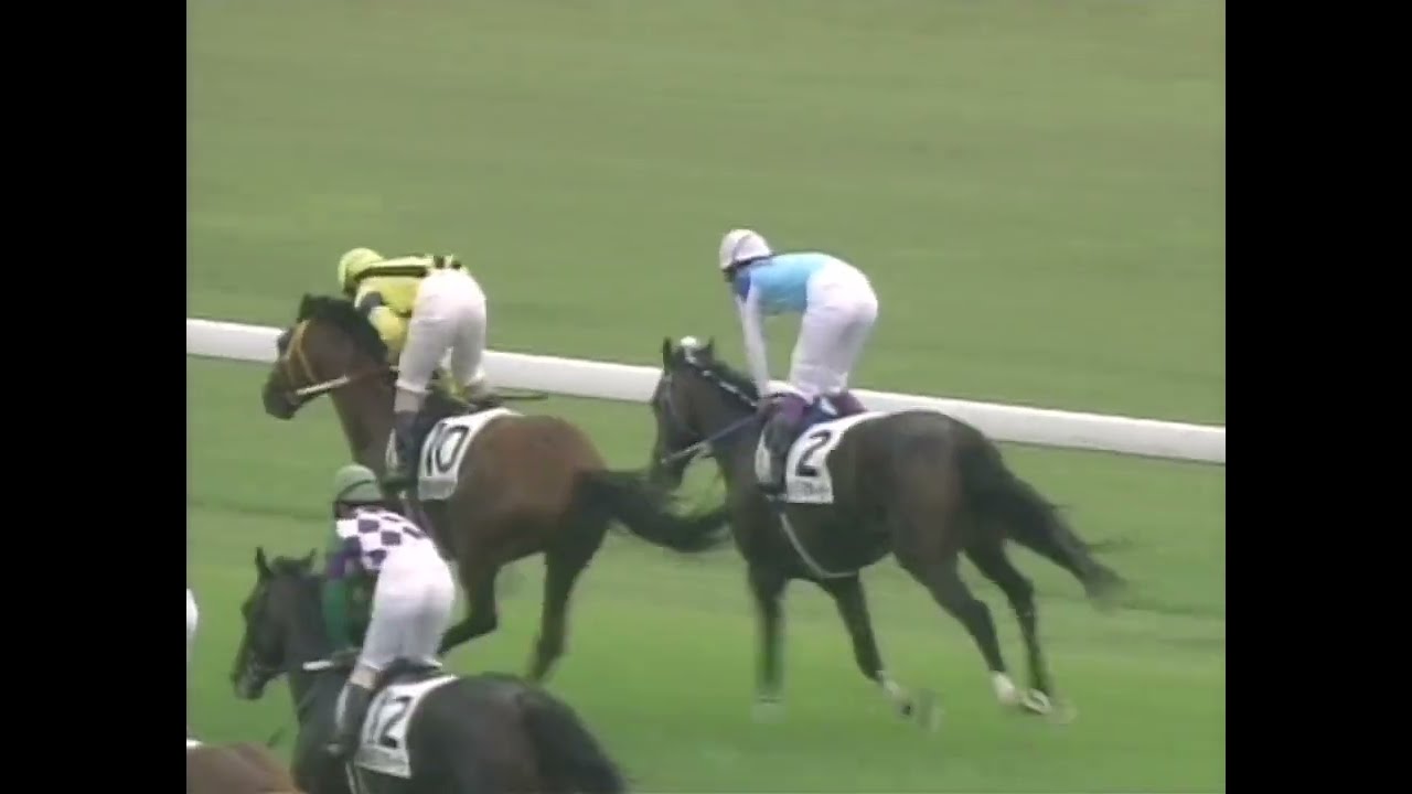 ナリタトップロード 1999年 第66回東京優駿(日本ダービー)(GI) (優勝馬：アドマイヤベガ)