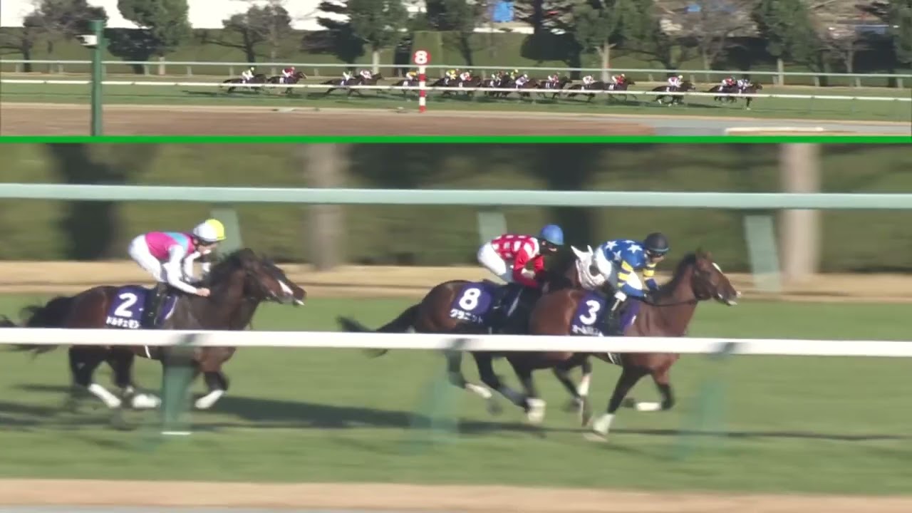 2022朝日杯フィーチャリティーS 坂井瑠星 ドルチェモア×ダノンタッチダウン川田将雅