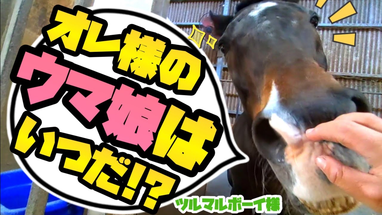 ウマ娘のストーリーに出る、ヒシミラクル様と宝塚記念で熱い激闘を繰り広げたG1馬がCygames様に言いたい事があるようです。【ツルマルボーイ様のシモベ】