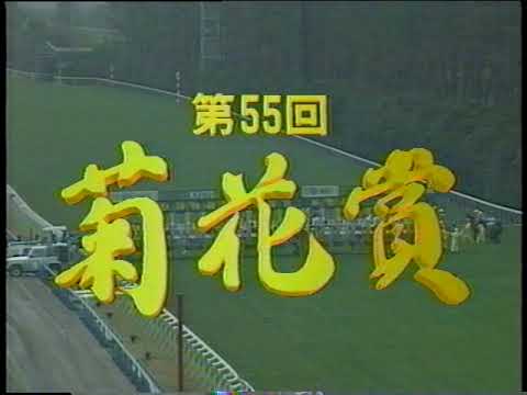 菊花賞 1994 11 06 ナリタブライアン その1 本馬場入場