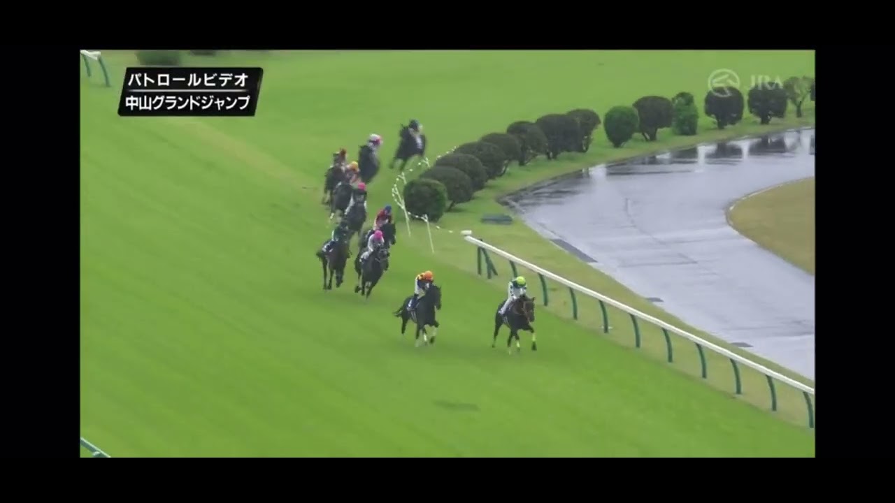 中山グランドジャンプ J･GⅠ 2023年 パトロールビデオ
