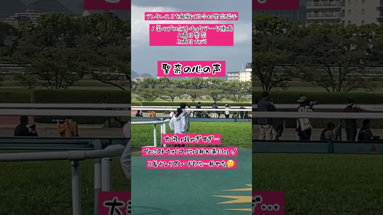 アンタレスＳを観戦する今村聖奈騎手…心の声は🤔#shorts