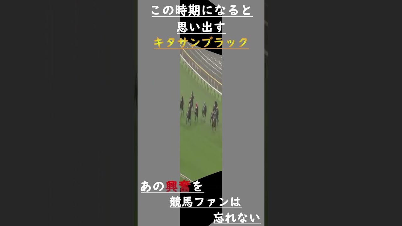 キタサンブラック　天皇賞