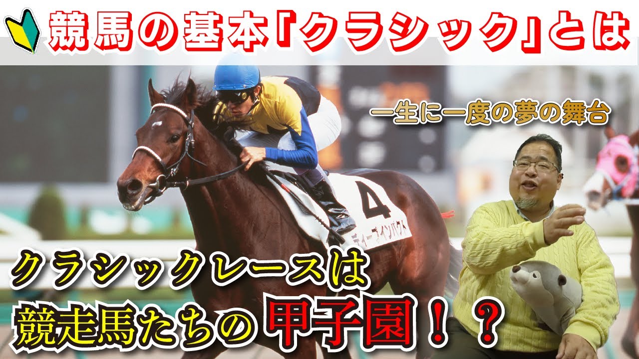【競馬の基本】クラシックは競走馬たちの甲子園！？皐月賞・ダービー・菊花賞などのクラシックについて詳しく解説！