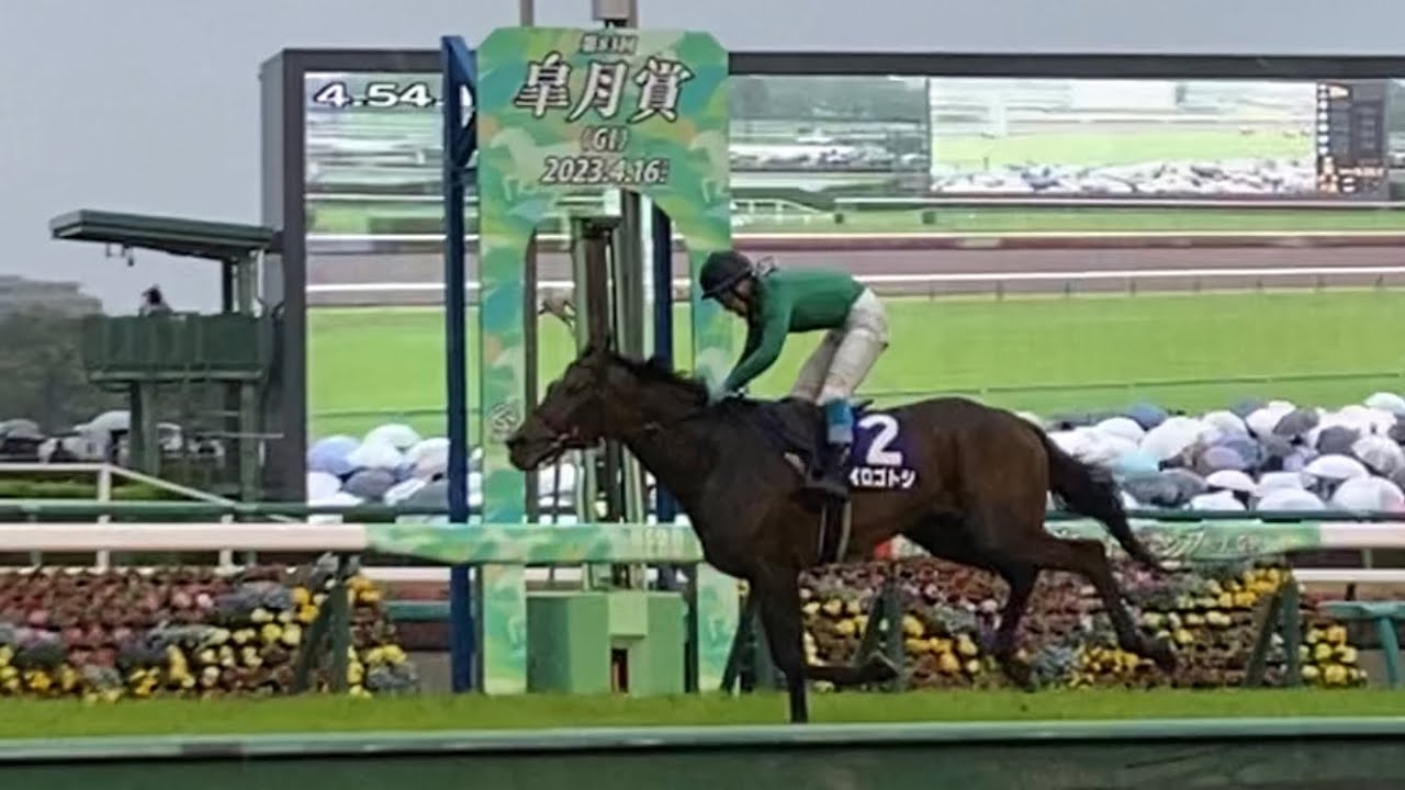 [現地撮影]中山グランドジャンプ2023(中山J S) イロゴトシが九州産馬として初めてのG1勝利！