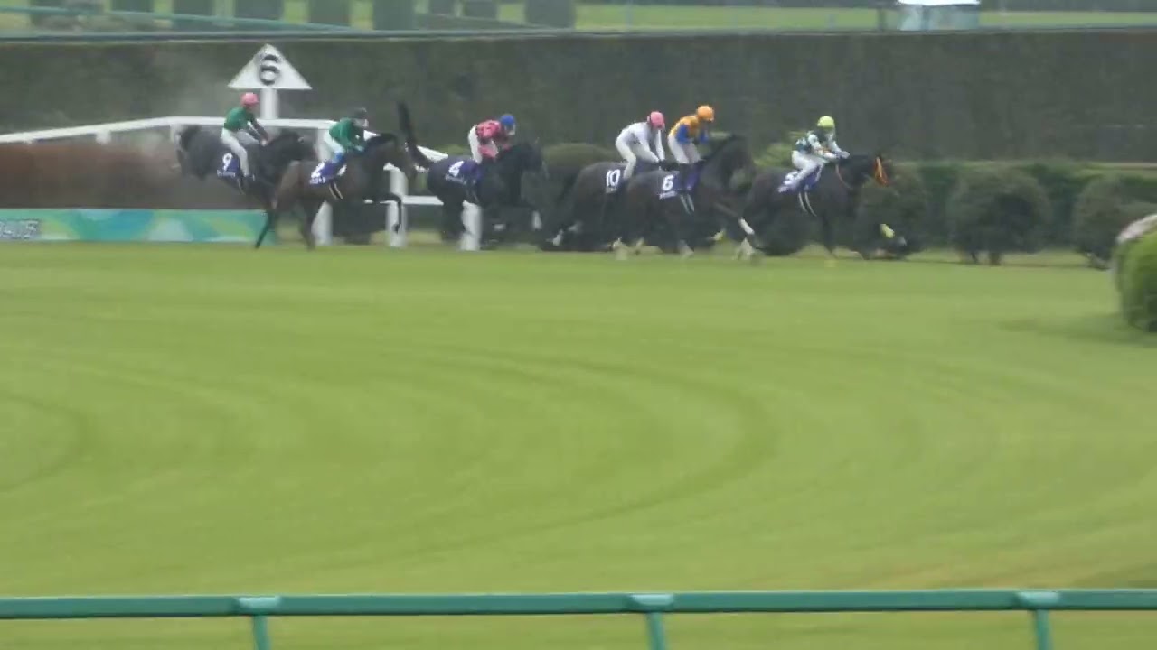 【現地映像】2023年4月15日中山グランドジャンプ