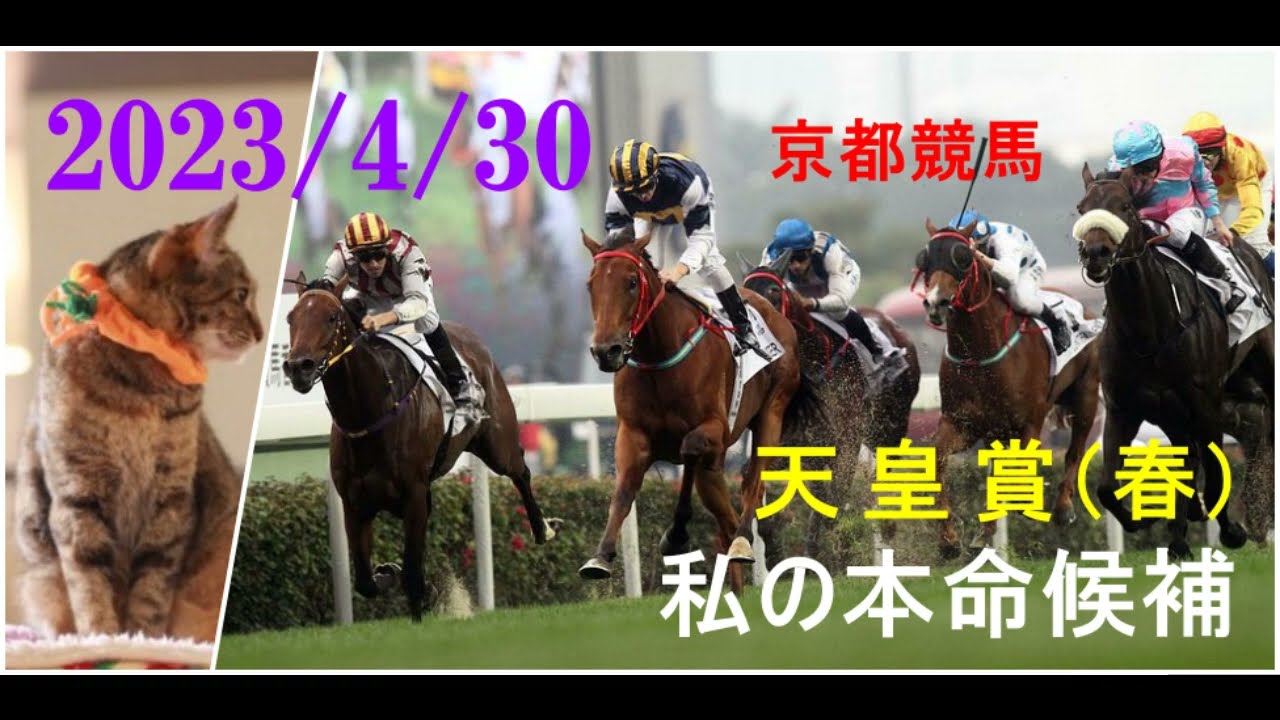 2023/4/30　京都競馬　天皇賞・春（ＧⅠ）私の本命候補