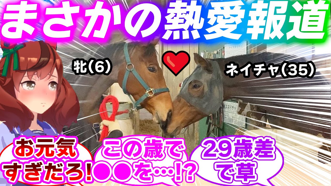 史実のナイスネイチャ(35)、牧場の牝馬(6)との熱愛が発覚してしまうに対するみんなの反応集【ウマ娘プリティーダービー】