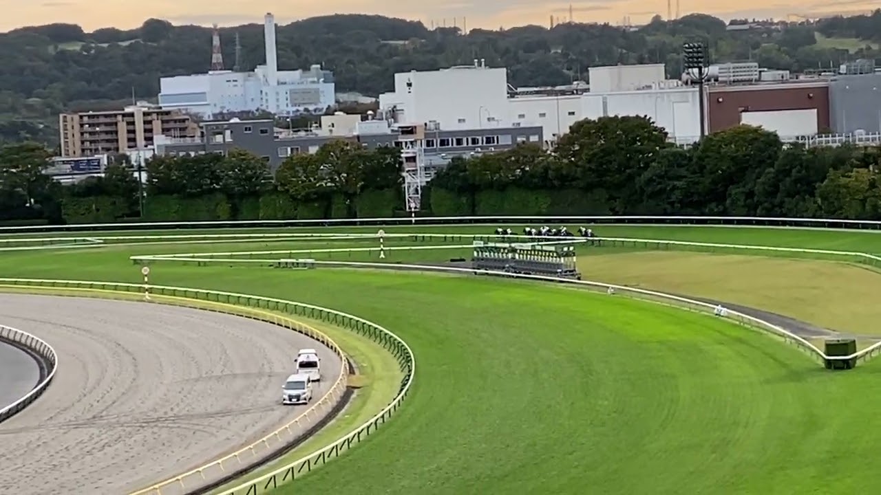 【ほぼ無観客】第162回 天皇賞（秋）勝ち馬アーモンドアイ 2020.11.1
