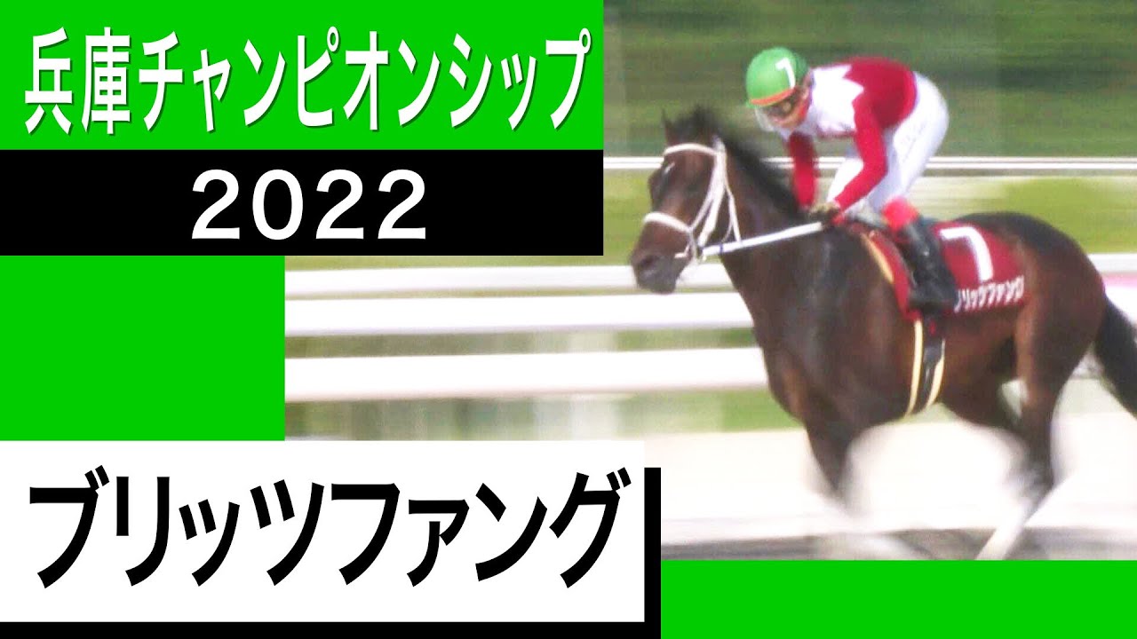 【兵庫チャンピオンシップ2022】ブリッツファングが8馬身差圧勝で重賞初V！＜カンテレ競馬×そのだけいば＞