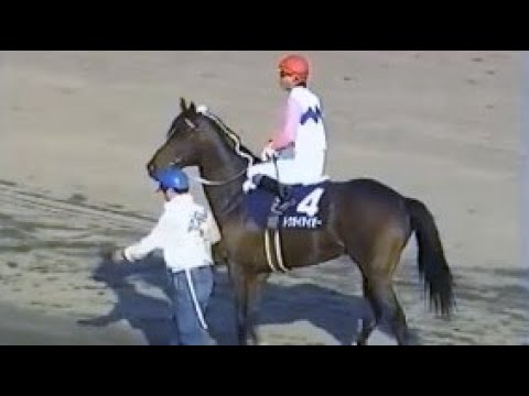 『特にトウカイテイオーがいいとか悪いじゃなくてね、馬がすごく嬉しそうでしたね。』第３８回　有馬記念（ＧⅠ）　本馬場入場、返し馬　1993.12.26　出走馬：ビワハヤヒデ、ウイニングチケット、ベガ他