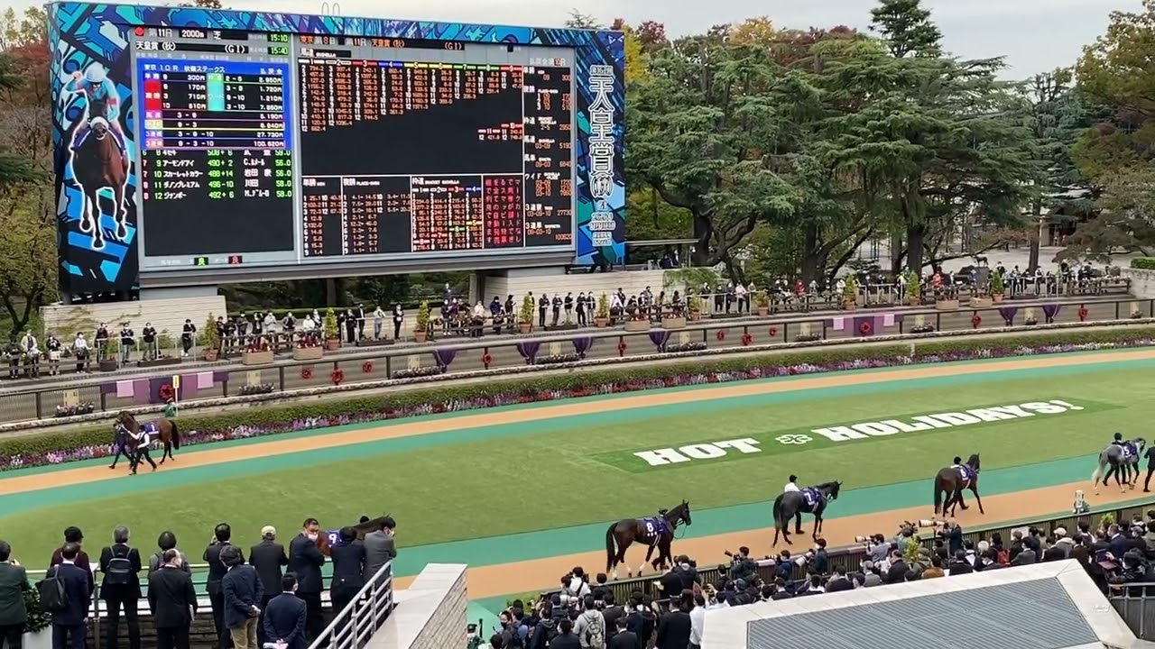 【ほぼ無観客パドック】第162回 天皇賞（秋）勝ち馬アーモンドアイ 2020.11.1