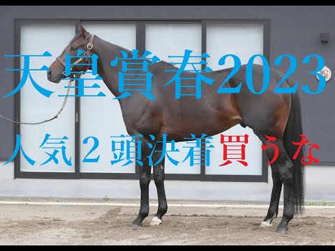 天皇賞春 2023 タイトルホルダーと人気馬での決着は買えない！！不安材料と課題 レベルが高く最重要のポイント