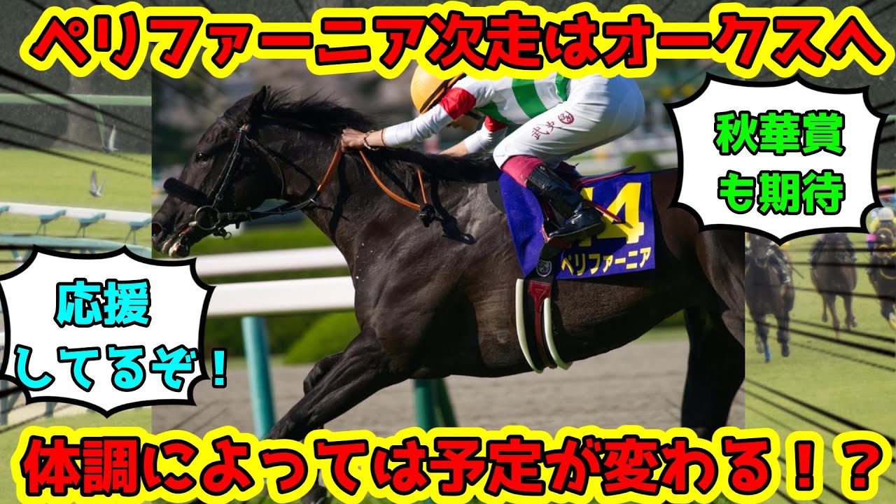 【競馬】桜花賞3着馬ペリファーニア、次走はオークスへ