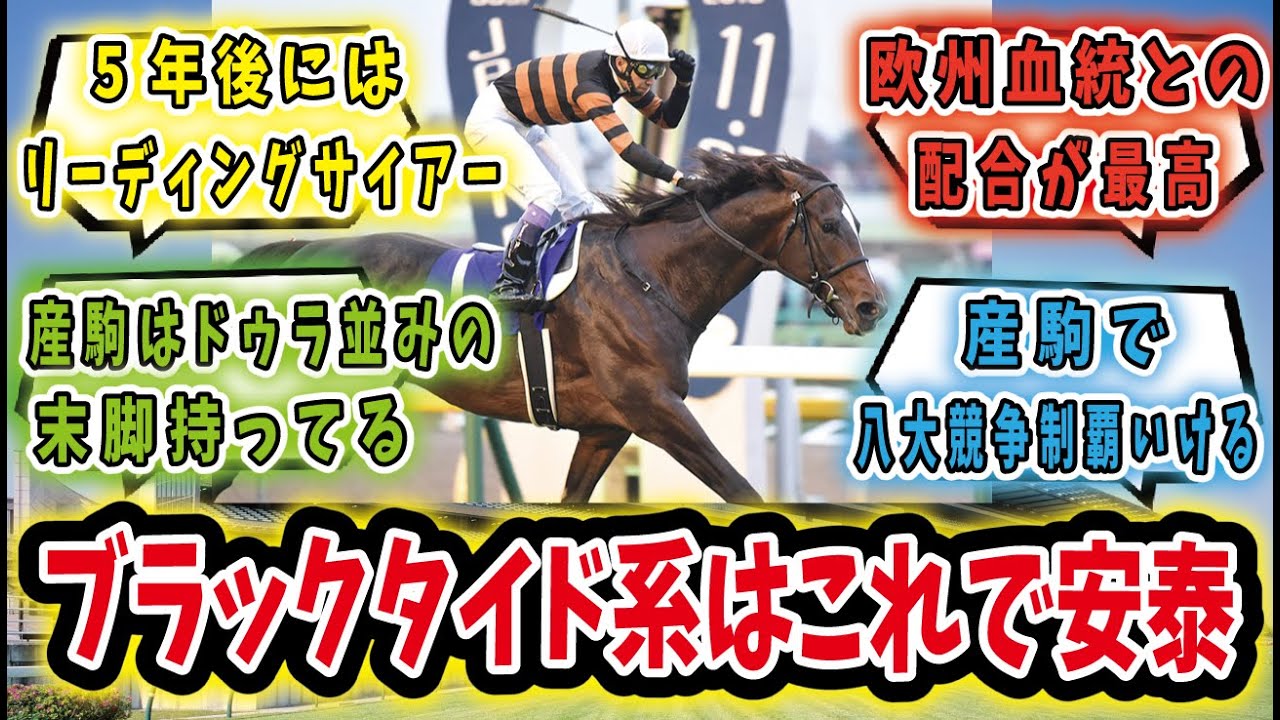 【競馬の反応集】「キタサンブラック種牡馬大成功では？やばすぎない？」に対するみんなの反応集
