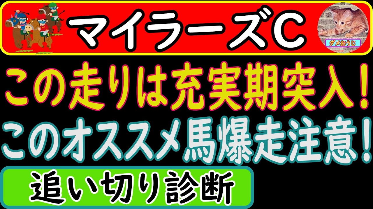 マイラーズカップ2023年の追い切り診断！有力馬の調教を診断してオススメ馬を発表します