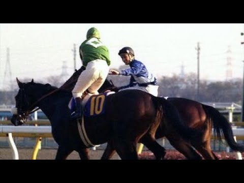 第２回　ジャパンカップ　ハーフアイスト　牡３　55　D.マクベス　1982.11.28　　出走馬：オールアロング、エイプリルラン、スタネーラ、ヒカリデユール、カズシゲ、アイルオブマン、カツアール他
