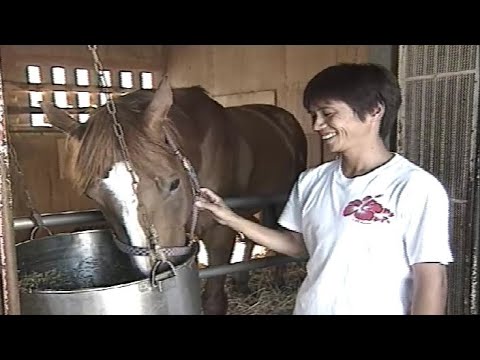 ナリタトップロード　1999年～2002年のレースを陣営が振り返り（修正）
