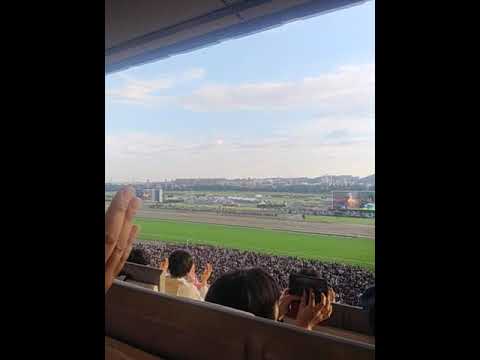 コロナ前を懐かしむ　2019年天皇賞秋