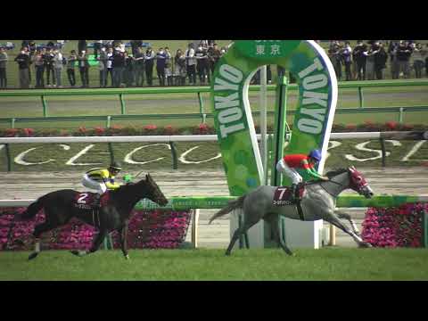 フローラS(GⅡ) 現地 レース ゴールドシップ産駒ゴールデンハインドが勝利 2着ソーダズリング 3着ブライトジュエリーまでオークスの出走権獲得 2023/4/23 フローラステークス