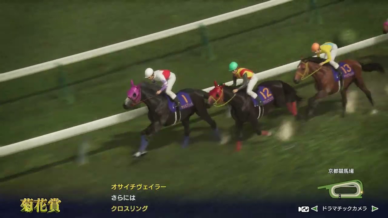 菊花賞 13番 タチカワギムレット