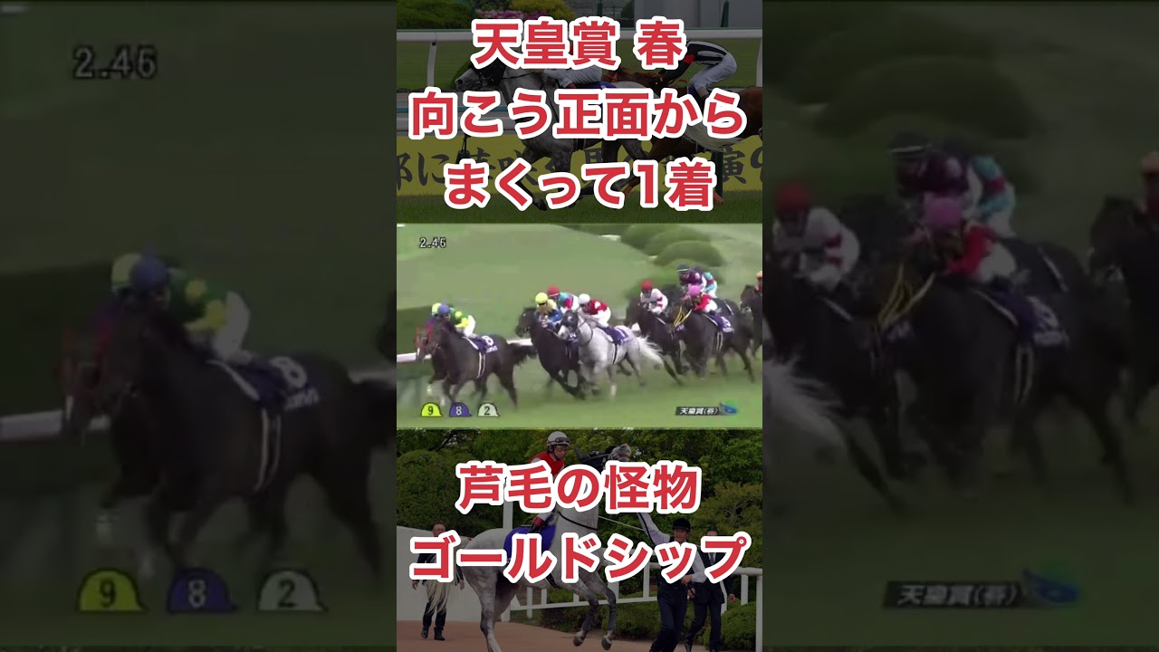 芦毛の怪物、ゴールドシップ天皇賞春