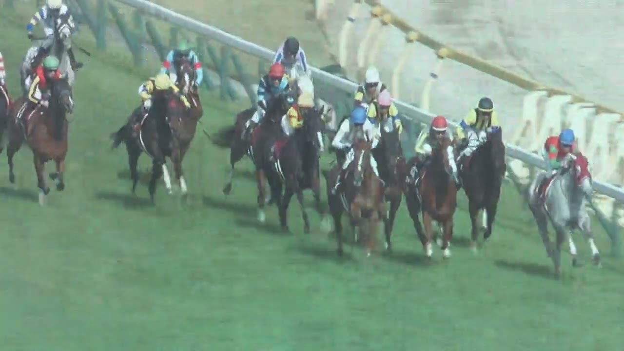 ソーダズリング、戸崎！想像していた競馬じゃなかったけど、オークスへの権利は獲得！