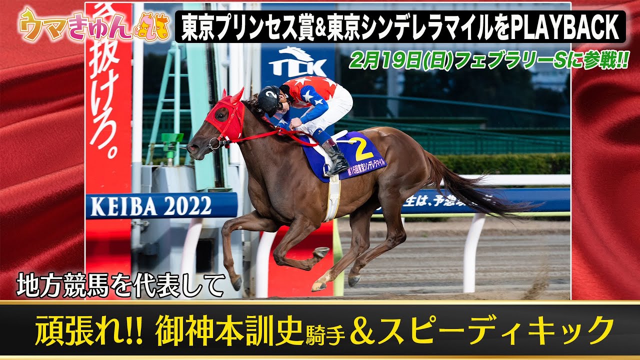 【フェブラリーS】ウマきゅん特別応援ムービー　頑張れ！御神本訓史騎手＆スピーディキック【異次元の走り】