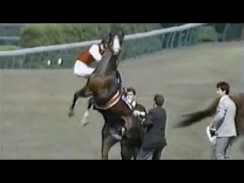 第４３回　安田記念（ＧⅠ）本馬場入場　1993.5.16　出走馬：ニシノフラワー、ヤマニンゼファー、シンコウラブリイ、キットウッド、シスタートウショウ、ムービースター、ロータスプール、カミノクレッセ他