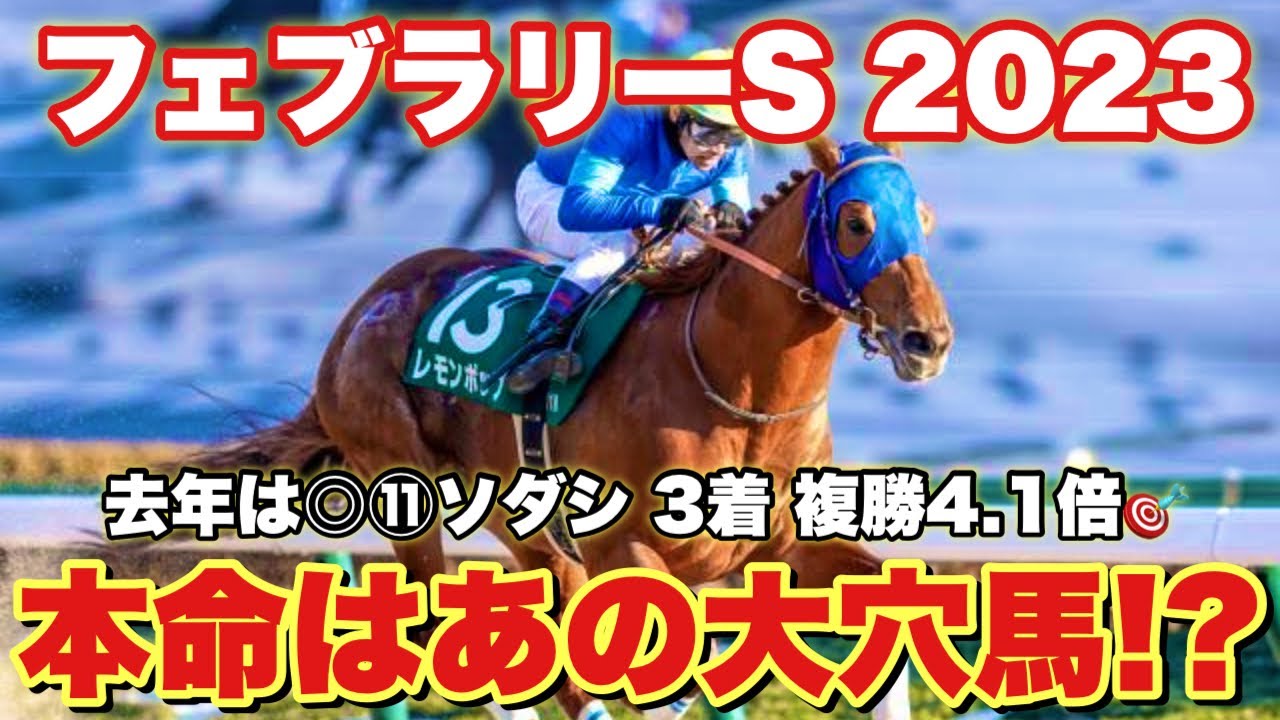 【予想】今年のフェブラリーSはあの大穴馬で勝負します！！